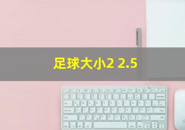 足球大小2 2.5